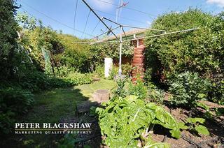 Vegie patch (2010-10-27)