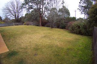 Rear yard