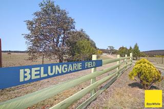 Belungarie Field