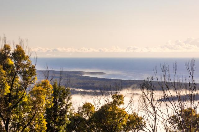 8 Old Coach Road, NSW 2539