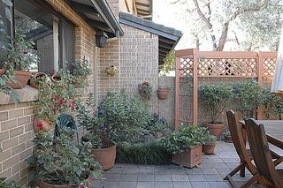 Courtyard (2005-03-18)