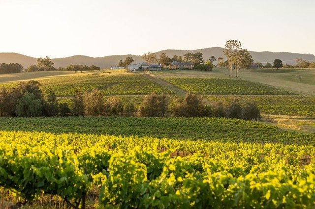 353 Oakey Creek  Road, NSW 2320