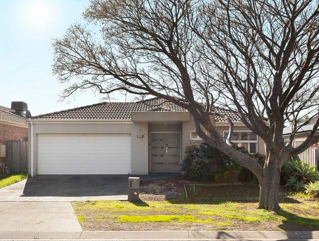 6 Peck  Terrace, VIC 3027
