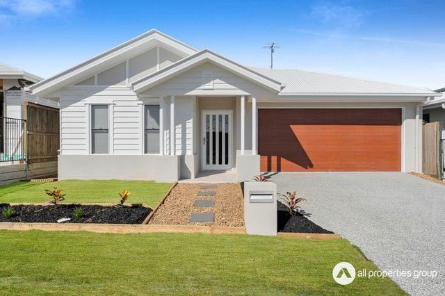 59 Musgrave Street, QLD 4207