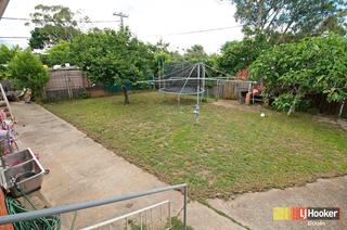 Backyard (2011-02-22)
