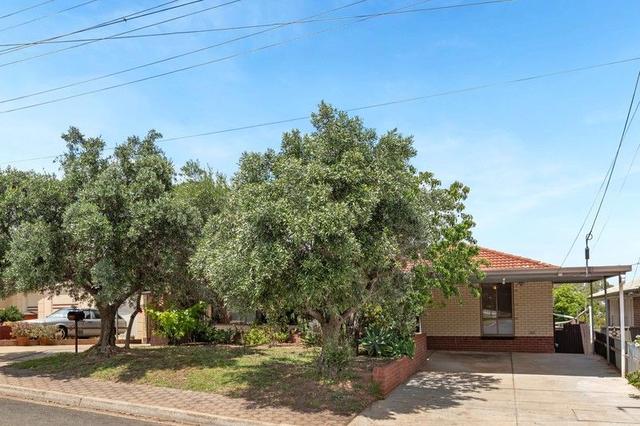 41 Finniss Avenue, SA 5098