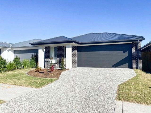 20 Dryander Street, QLD 4207