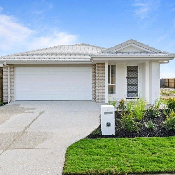 14 Dryander Street, QLD 4207