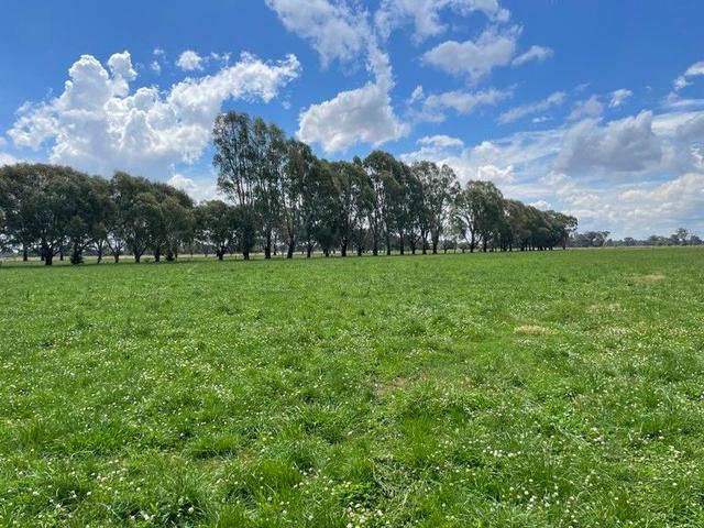 630 Morrissey Road, VIC 3624