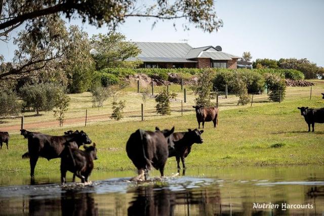 Lot 407 Telegraph Road, WA 6450