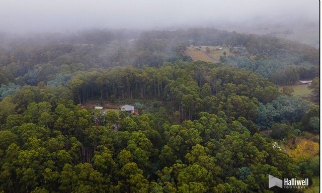 4 North Street, TAS 7304