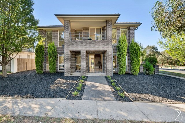 49 Oodgeroo Avenue, ACT 2913