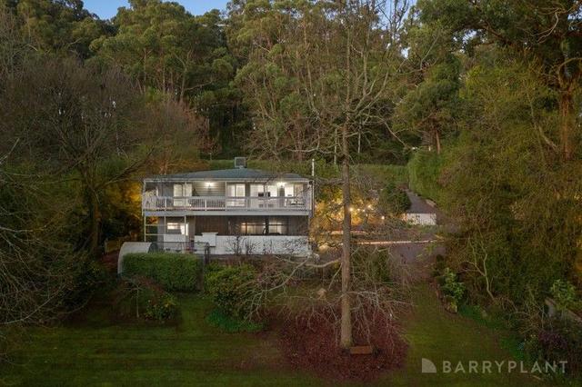16 Nobelius Street, VIC 3782