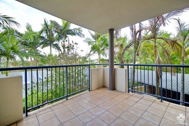 ID:21166935/182 Carmody Road, QLD 4067