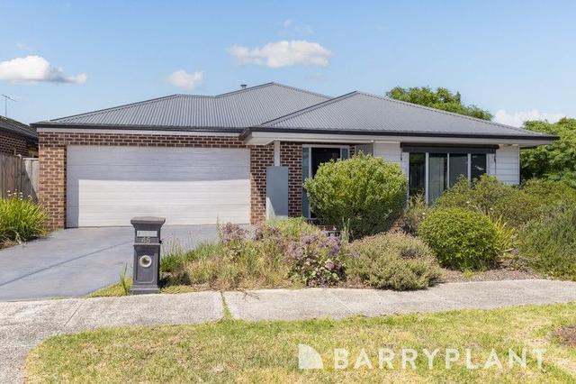 45 Penshurst Avenue, VIC 3027