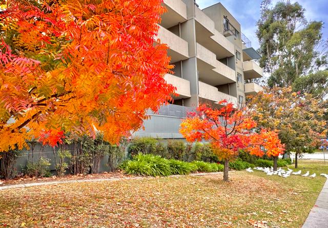 10/12 Waniassa Street, NSW 2620