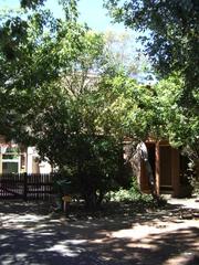 Main (2005-03-04)