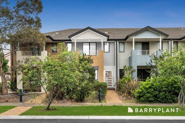 16 Staghorn Terrace, VIC 3030