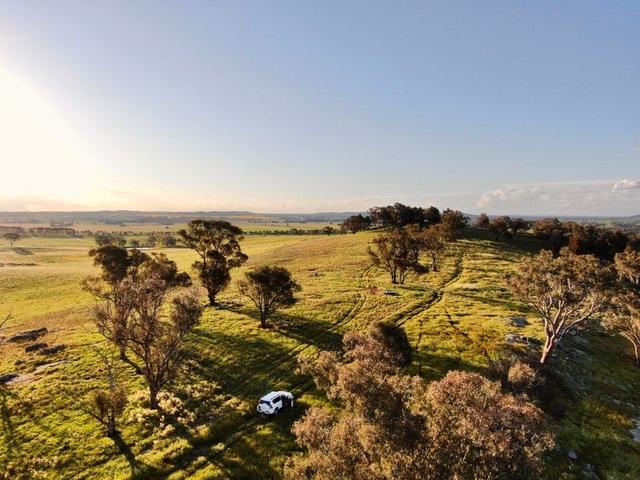 5911 Holbrook Road, NSW 2650