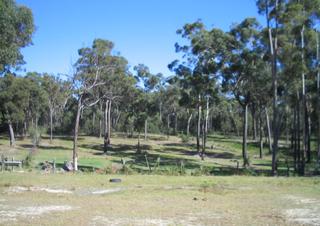 Land (2008-03-17)