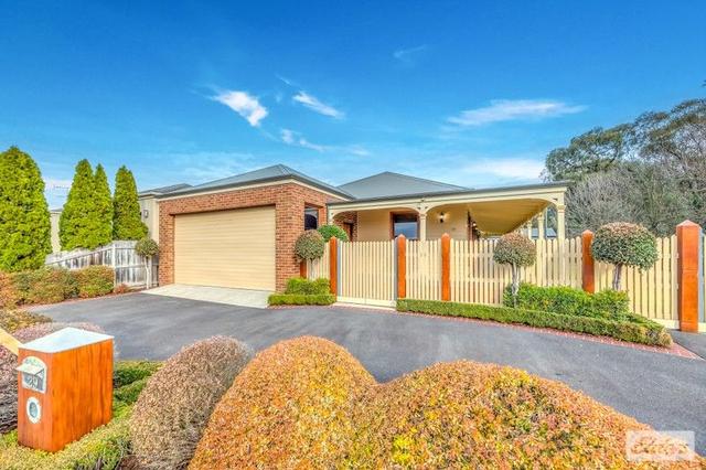 29 Ollerton Avenue, VIC 3825