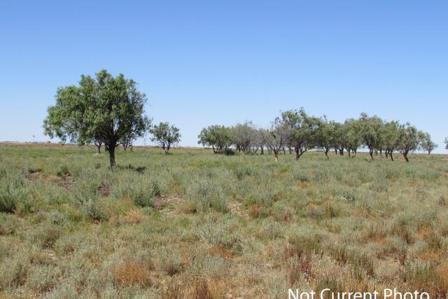 (no street name provided), NSW 2839