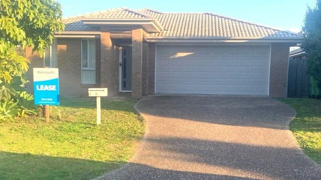 7 Darcey Street, QLD 4209