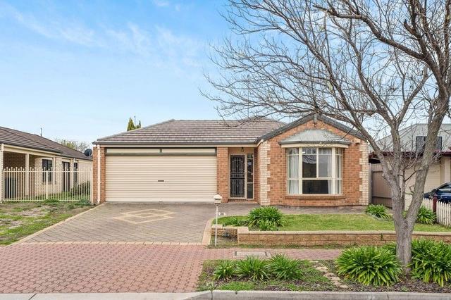 36 Northwood Avenue, SA 5085