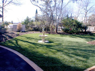 Rear yard