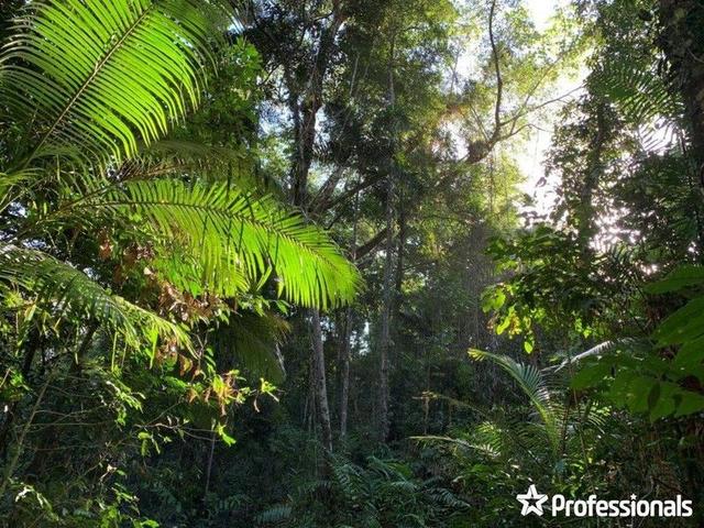 Lot 500/SP262378 Bloomfield Road, QLD 4895