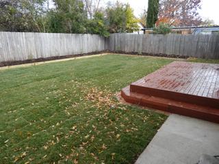 Backyard (2015-05-14)