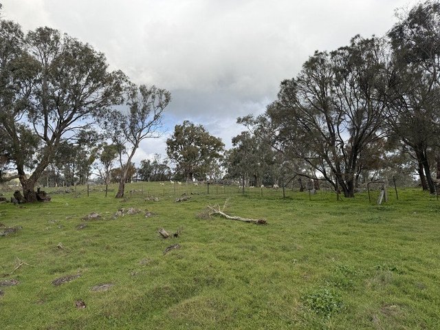 219 Sugar Loaf Hill Road, SA 5353