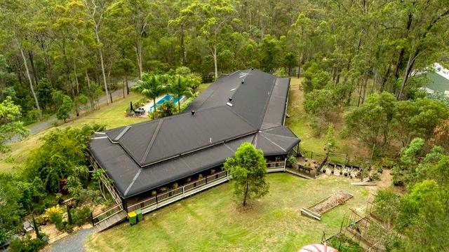 13 Maiden Hair Place, QLD 4209
