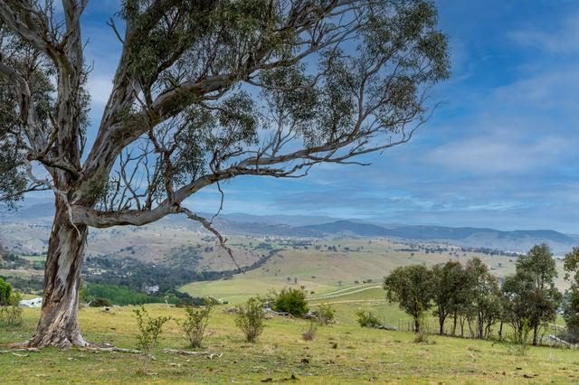 143 Rochford Road, NSW 2618