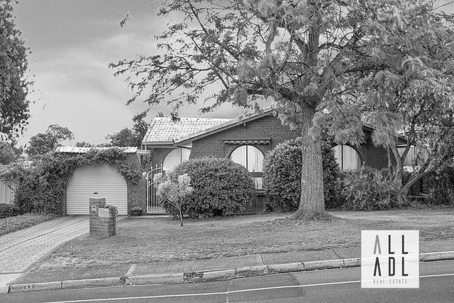 38 McEwin Avenue, SA 5097