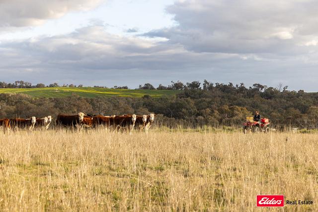 635 Monteagle Stock Route East Road, NSW 2594