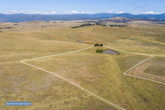 556 Micalago Road, NSW 2620
