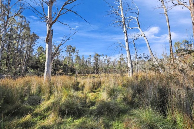 1060 Creewah Road, NSW 2631