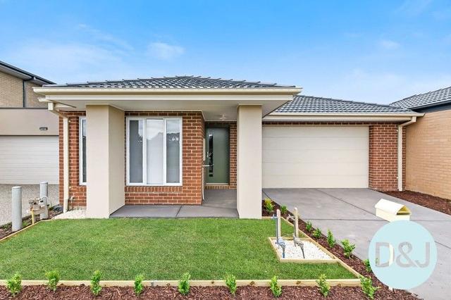 7 Danton Cct, VIC 3978