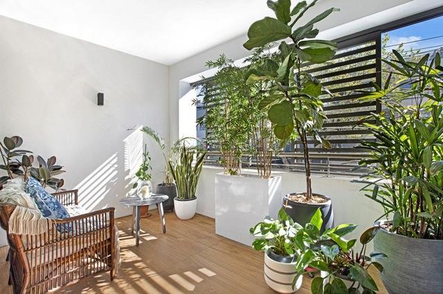 101/467 Miller Street, NSW 2062