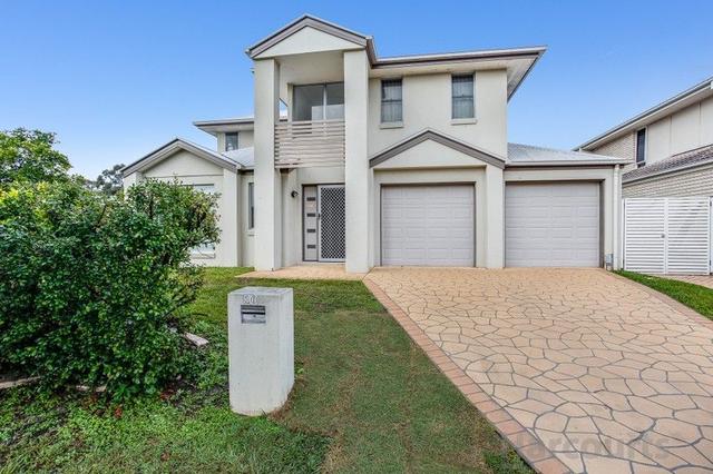 10 Cordyline Street, QLD 4509
