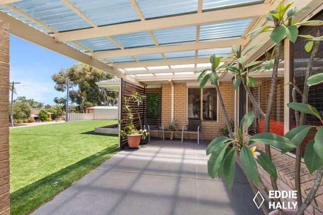 3 Salvia Court, WA 6164