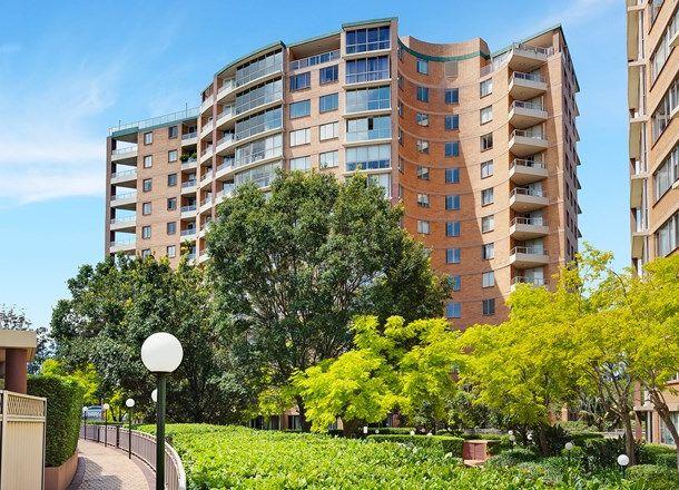 115/421-473 Pacific Highway, NSW 2064