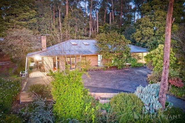 38-40 Belgrave-Gembrook Road, VIC 3781