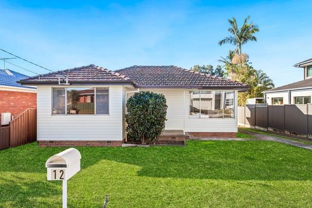 12 Fraser Street, NSW 2145