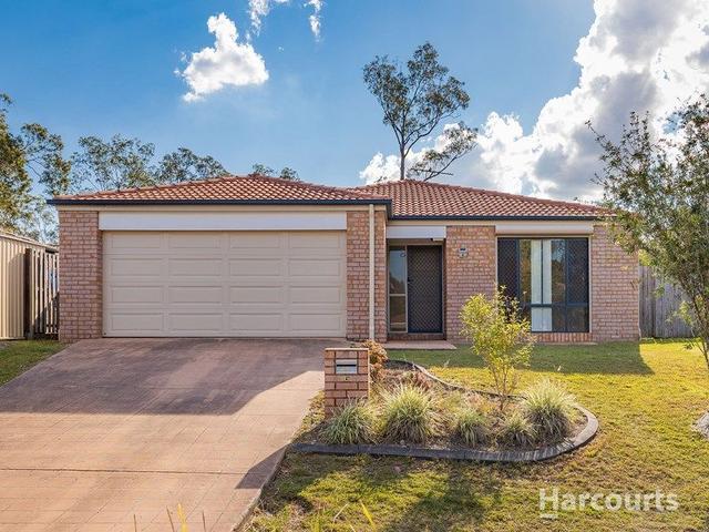 6 Barrine Pl, QLD 4115