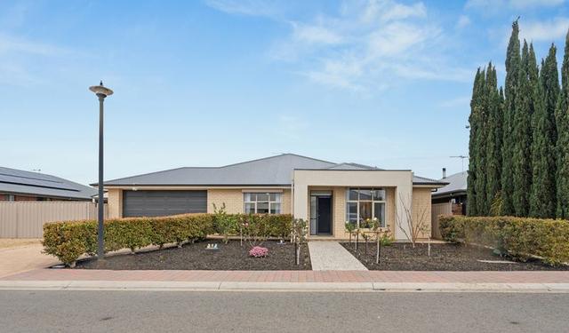 45 Walter Avenue, SA 5501