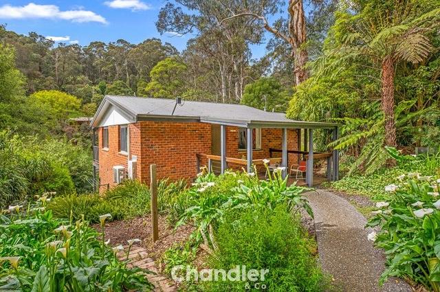 91 Belgrave-Gembrook  Road, VIC 3159