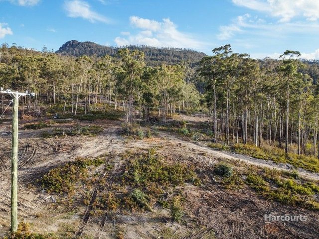 Lots 1, 3 & 4 Church Road, TAS 7030