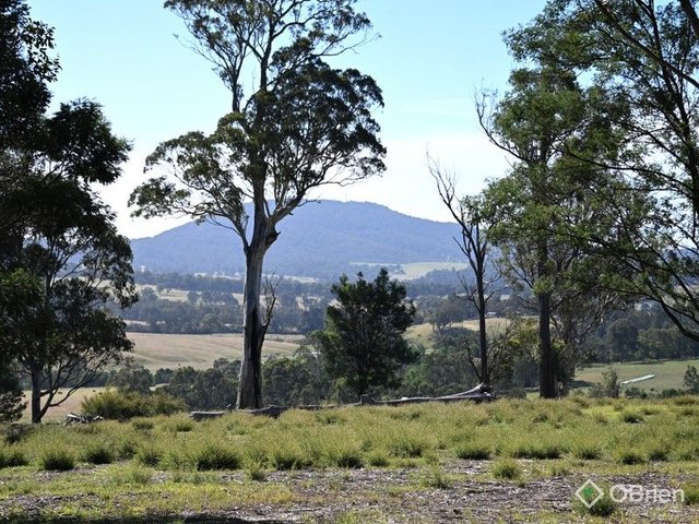 655 Orrs Road, VIC 3875